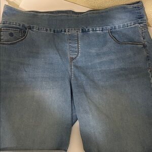 Gloria Vanderbilt Light Blue Denim Jeggings